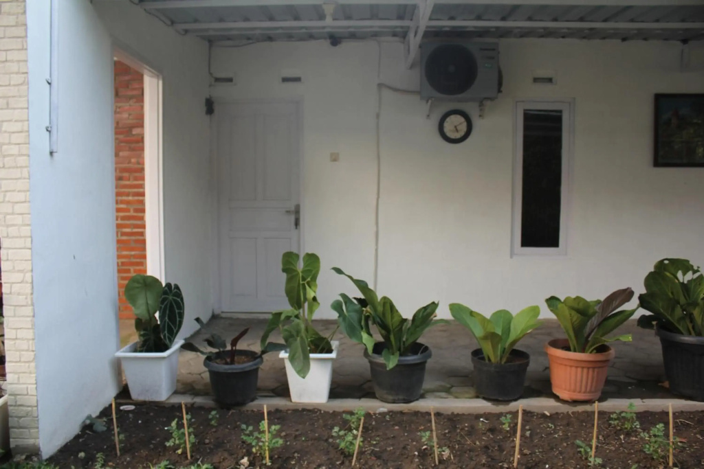 Omah Kebon Kalasan