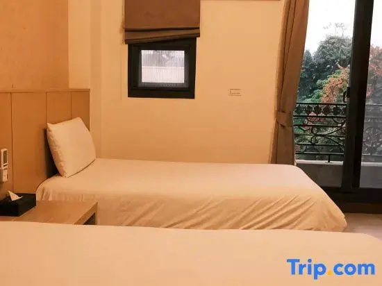 Standard Double room with city view (twin beds)
