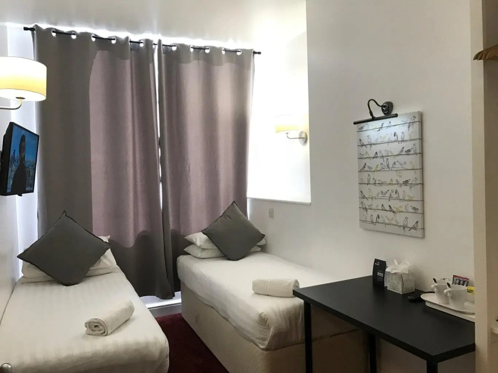 Deluxe Double room (twin beds)
