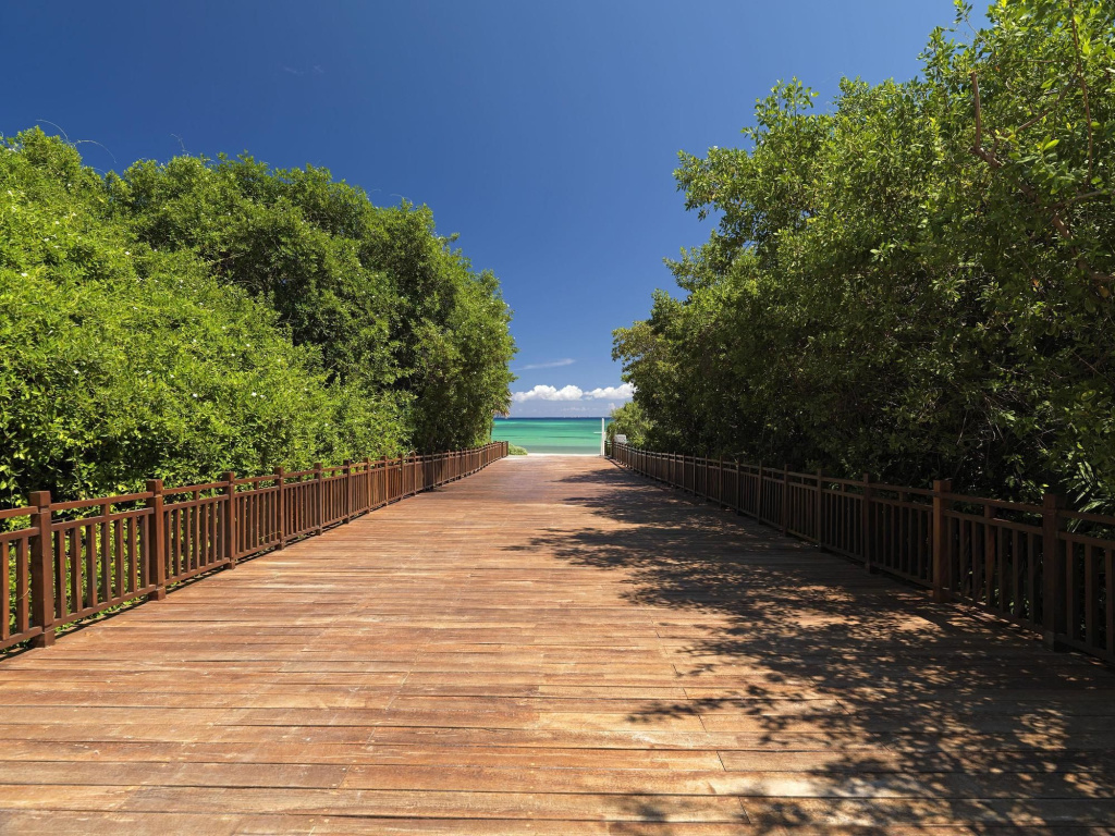 Beach & Waterfront