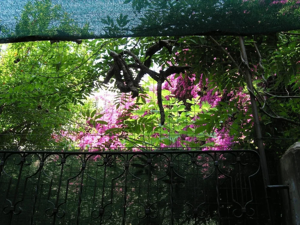 Superior Triple room with garden view