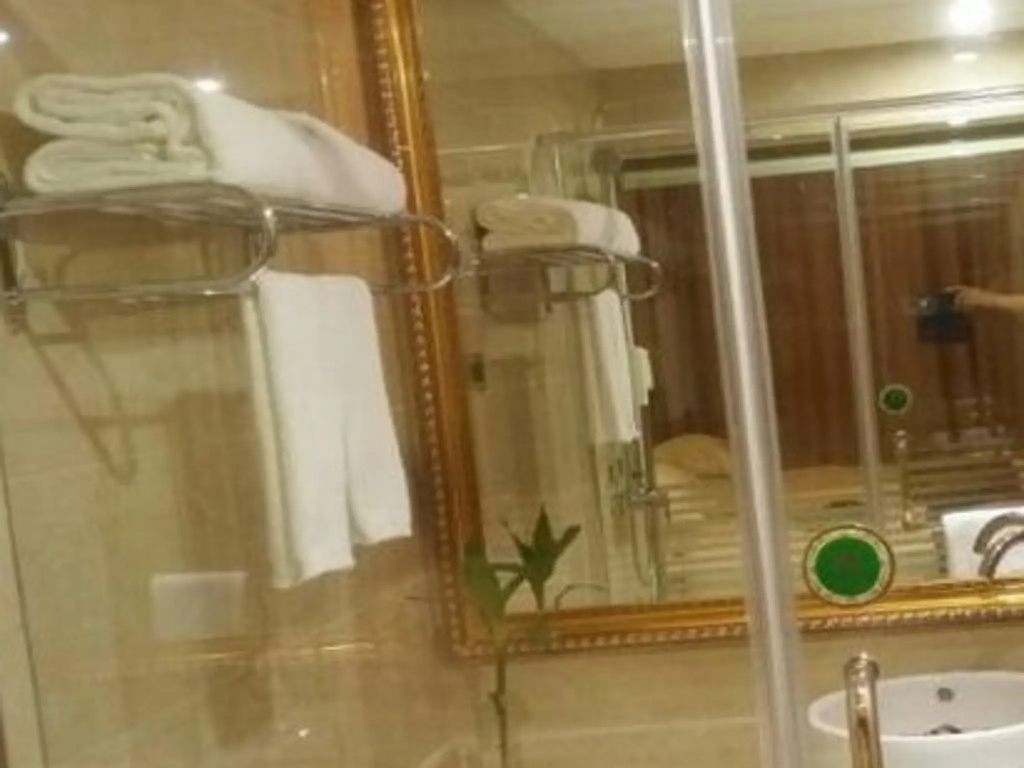 Vienna Hotel Hangzhou Yuhang Linping Branch - Général