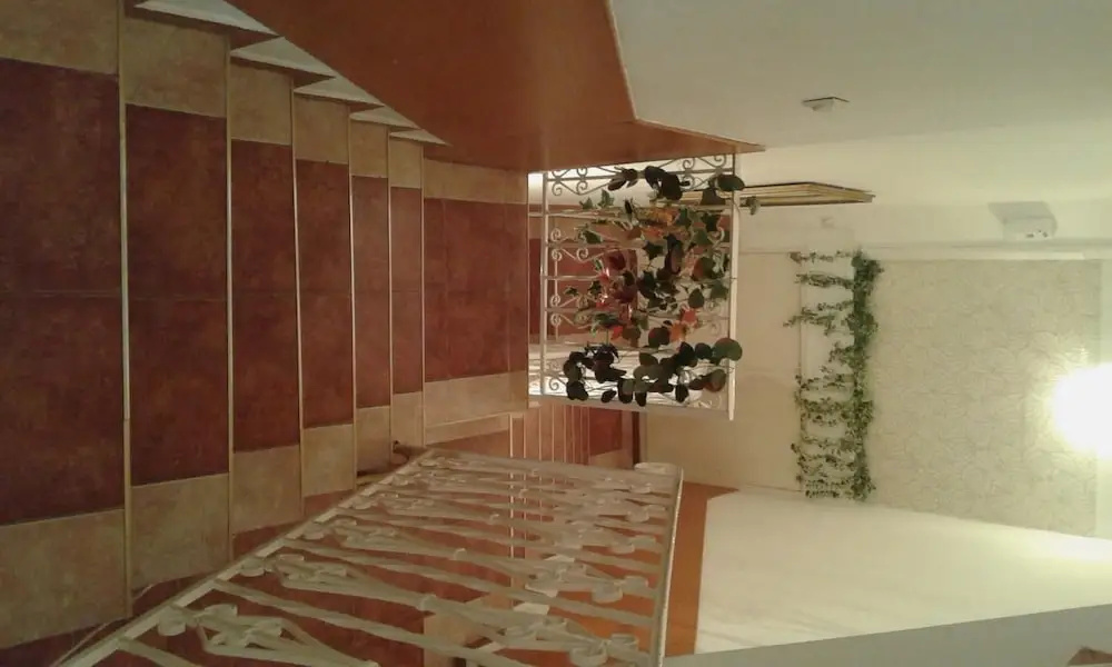 Ani Hotel - Général