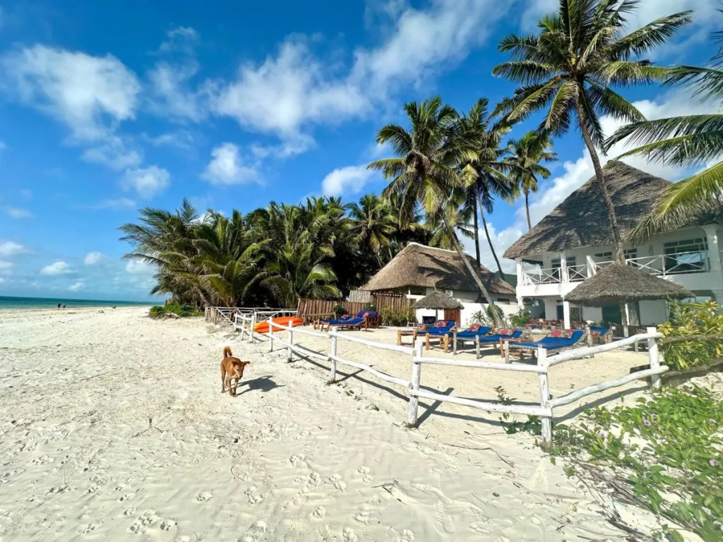 African Paradise Beach Hotel - Général