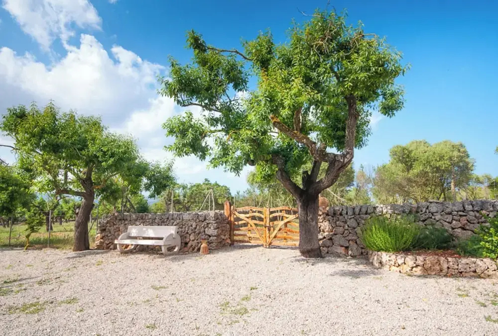 Cottage in Mallorca With Private Pool & Views