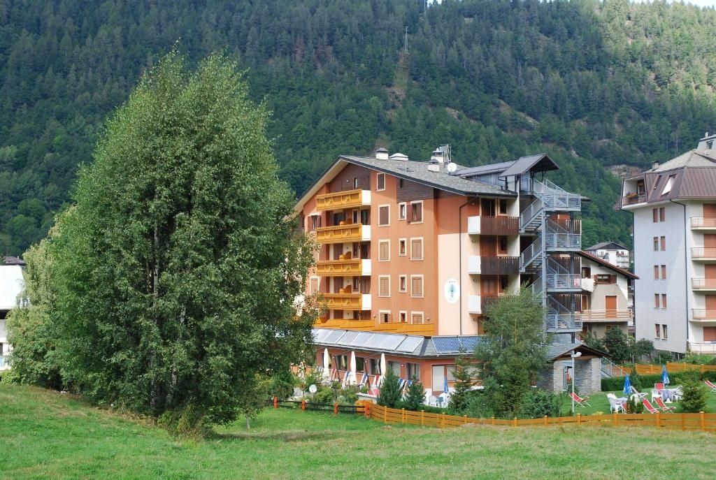 Image 7