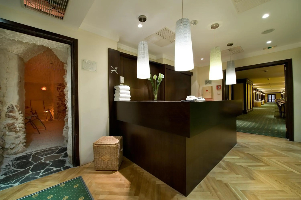 Apollo Hotel Bratislava - фото 16