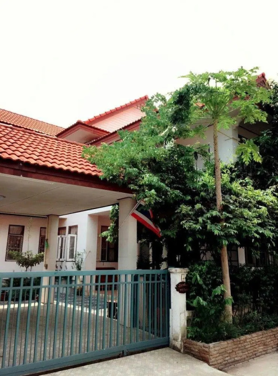 Little Mango Lovely Home