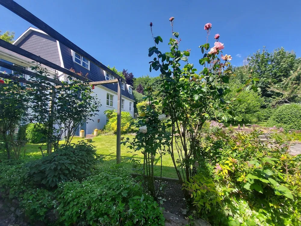Belvedere Lodge - Général