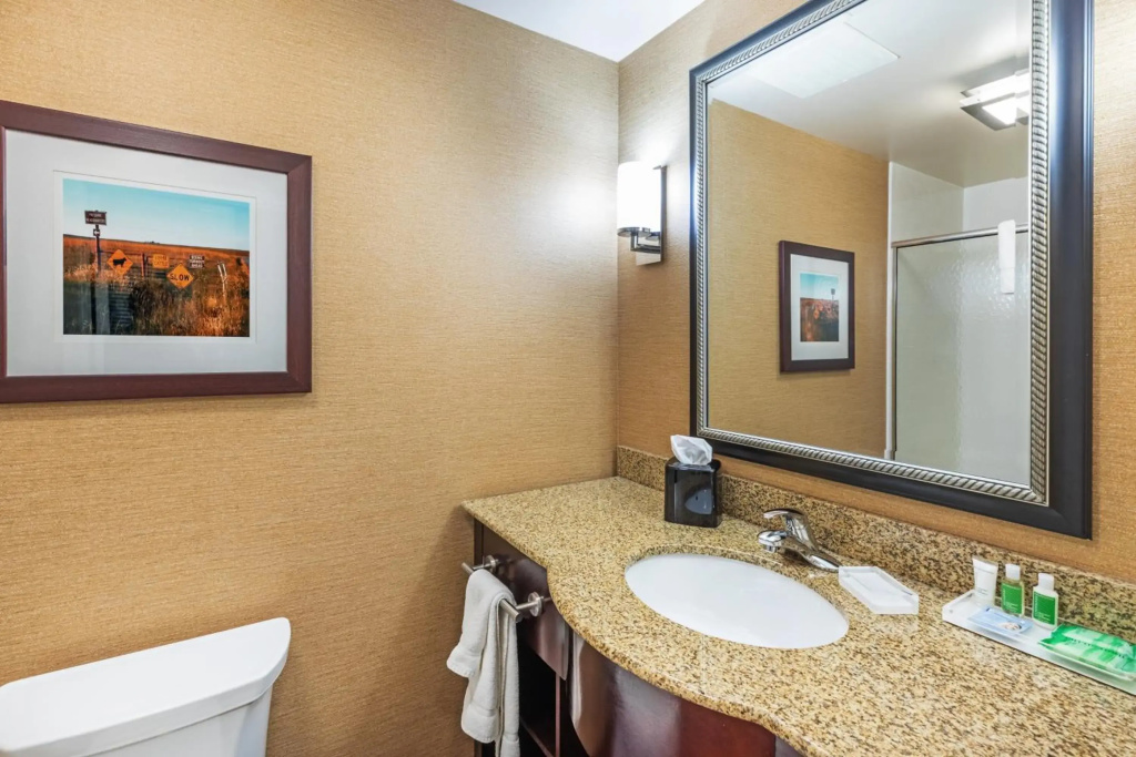 Holiday Inn Ardmore I-35 by IHG - фото 8