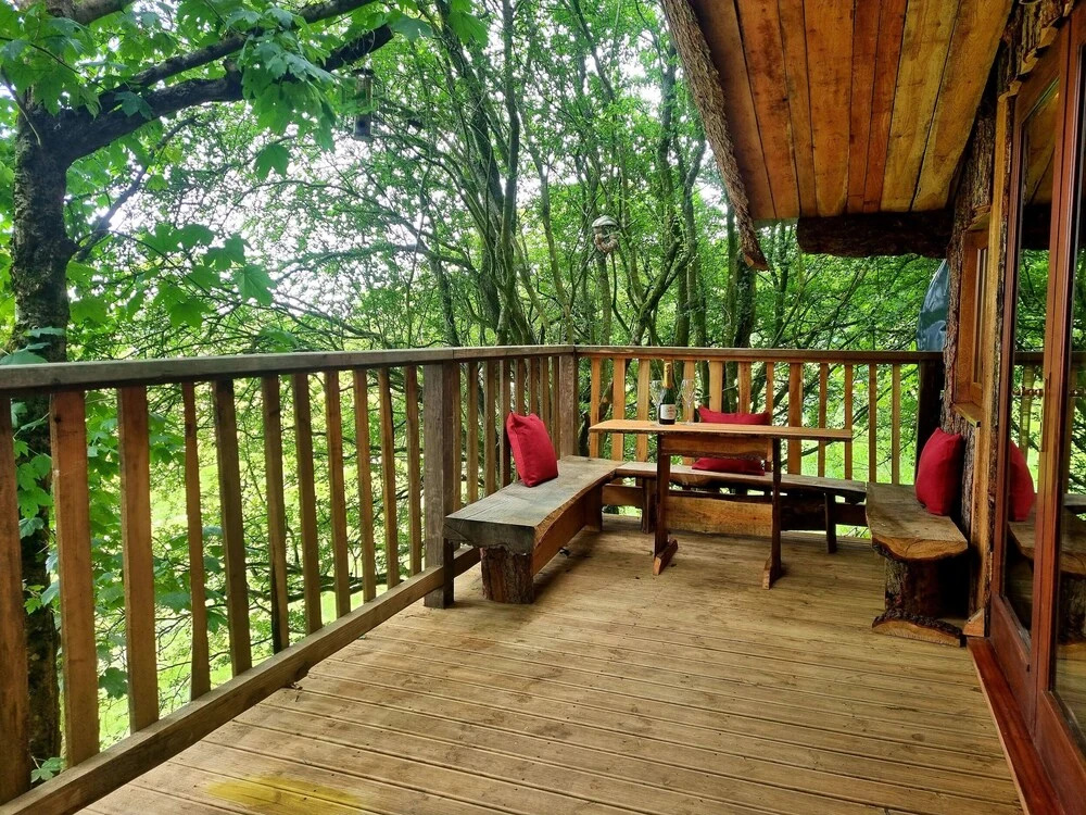 Tree House — 4
