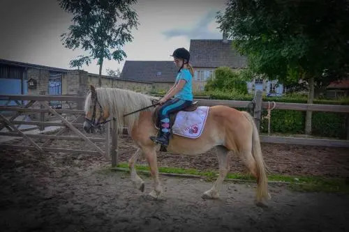 t'Ooievaarsnest - фото 18