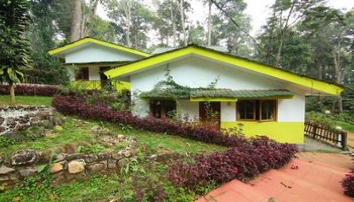 Woodpecker Resort