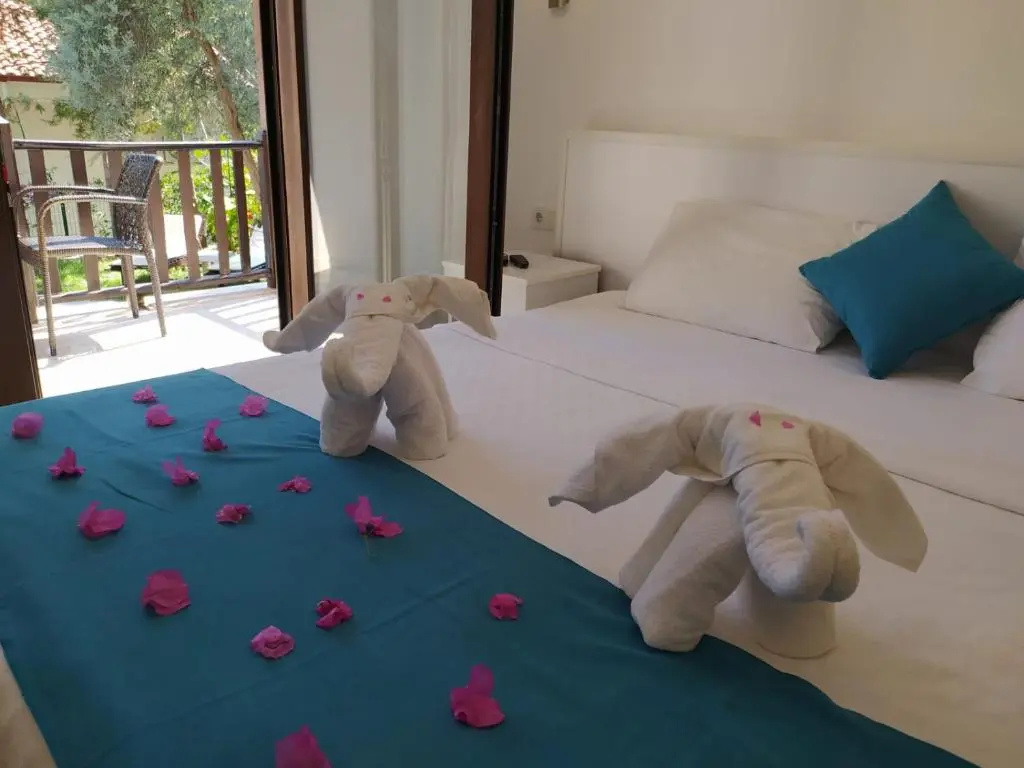 Standard Double room with balcony (full double bed)
