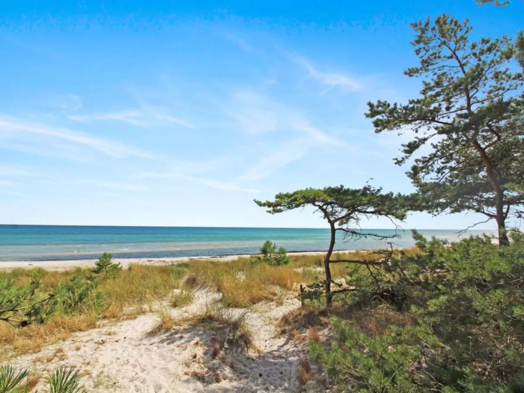 "Legolas" - 50m from the sea in Bornholm