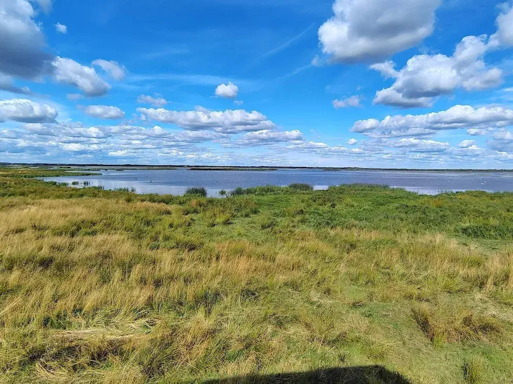 6 Person Holiday Home in Hemmet