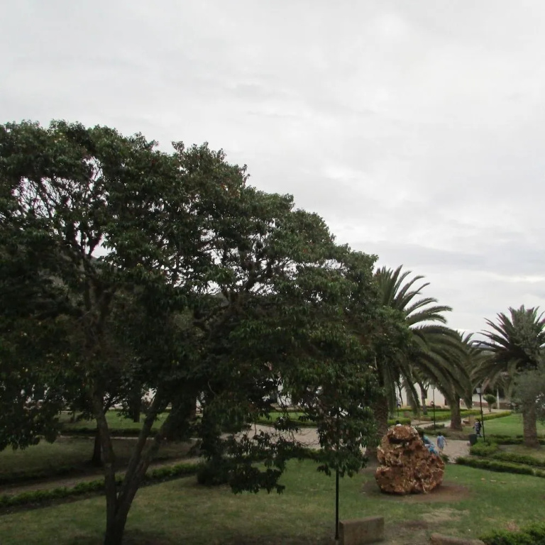 Hotel photo 26