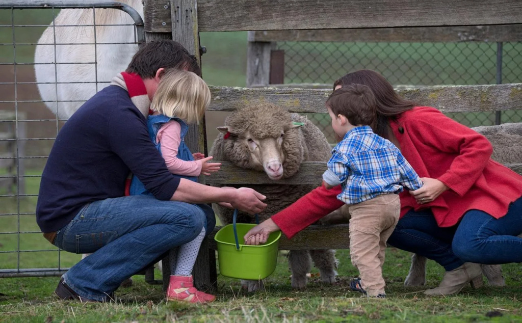 Family & Kids