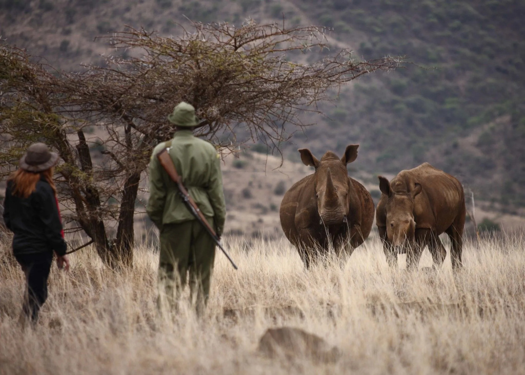 Elewana Lewa Safari Camp