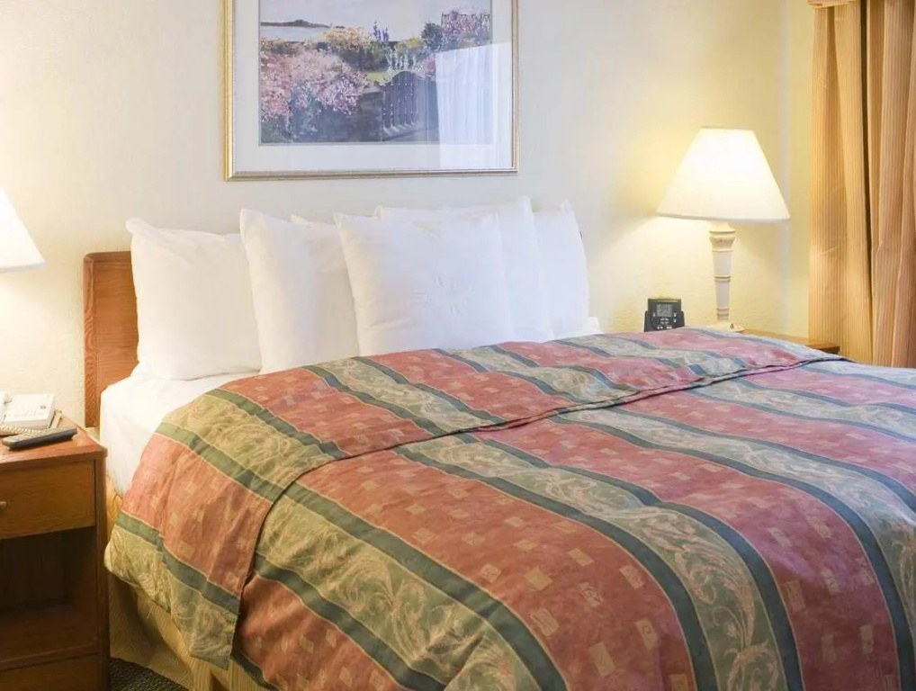 Homewood Suites by Hilton Dallas-DFW Airport N-Grapevine - Chambres
