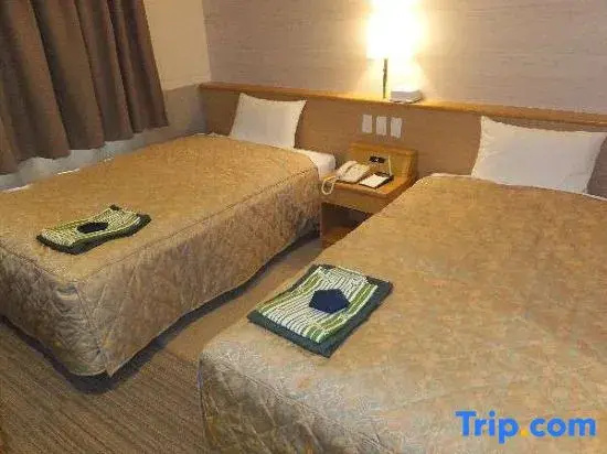Standard Double room (twin beds)