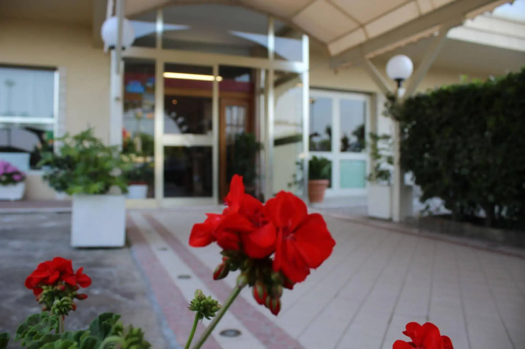 Hotel photo 18