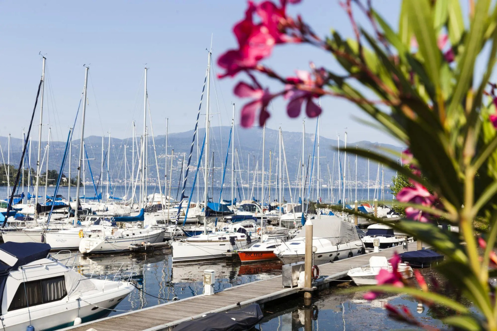 Beach & Waterfront