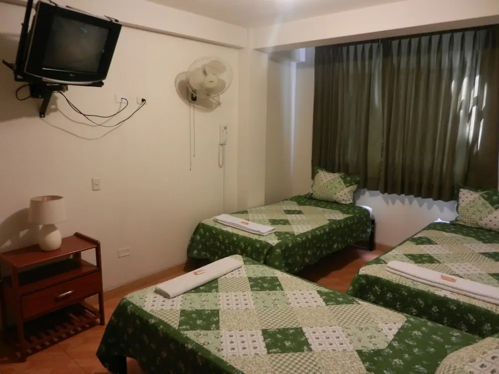 Classic Triple room (3 single beds)