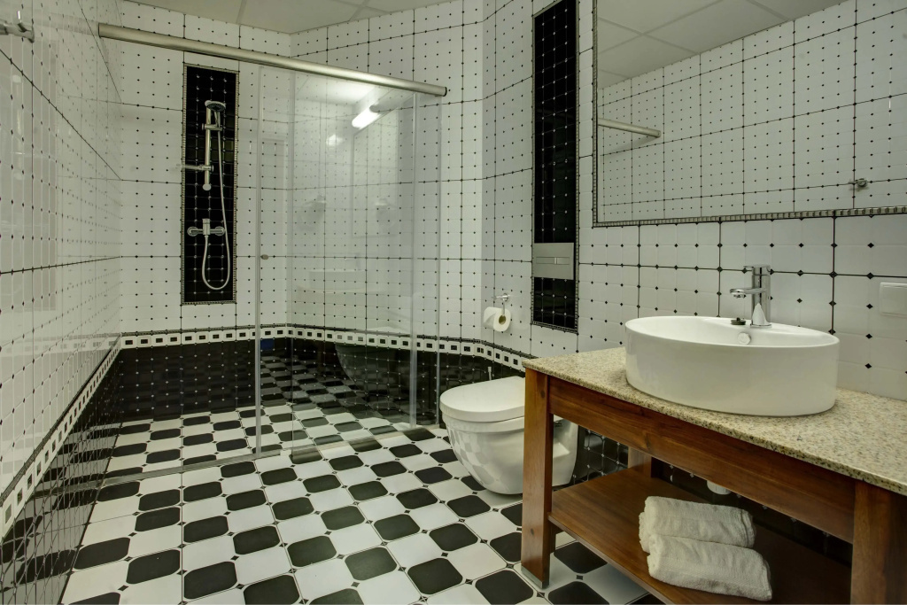Hotel Piast - Général