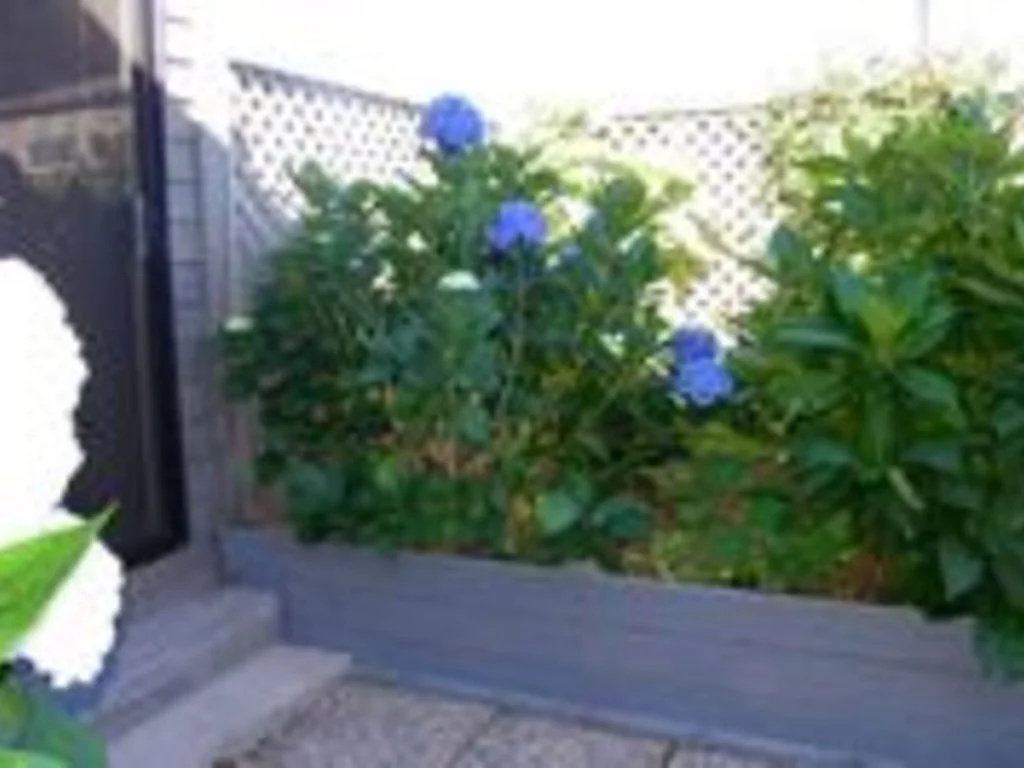 Ocean Star 3 Br home by RedAwning