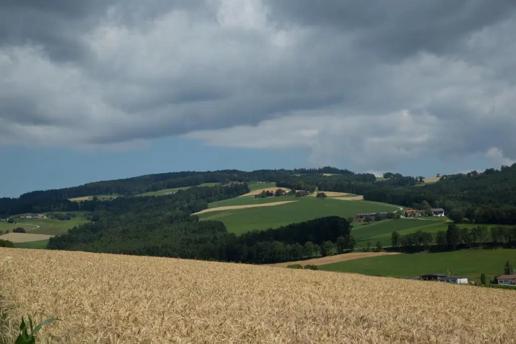 Krumbacherhof - Chambres