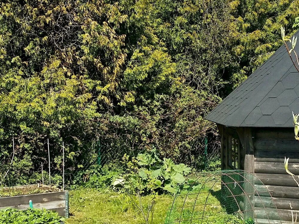 Holiday Home in Beddingestrand