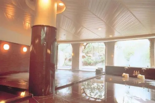 Hotel de Premiere Minowa - Général