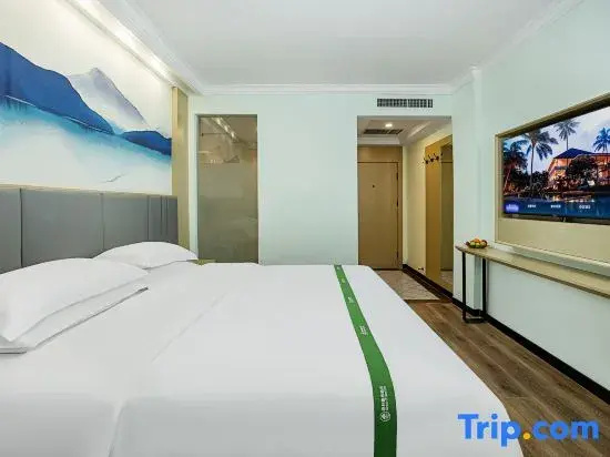 GreenTree Inn Puyang Ruifengyuan Business Hotel - Chambres