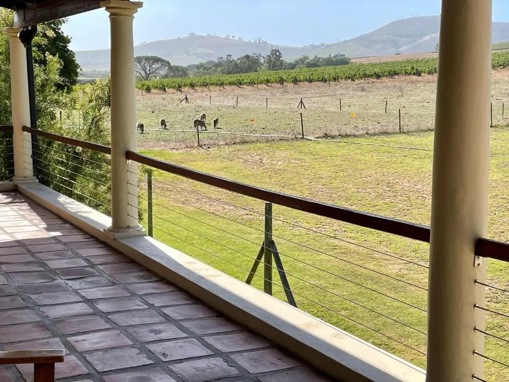 Lovane Boutique Wine Estate & Guesthouse - Chambres