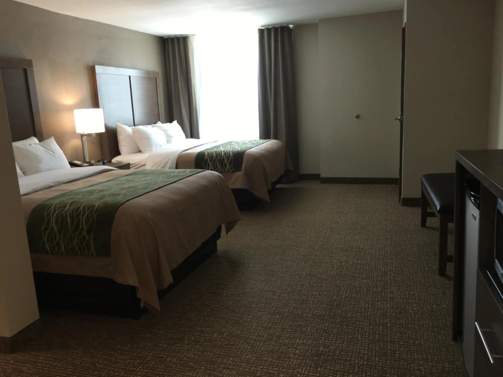 Comfort Inn & Suites Snyder — 3