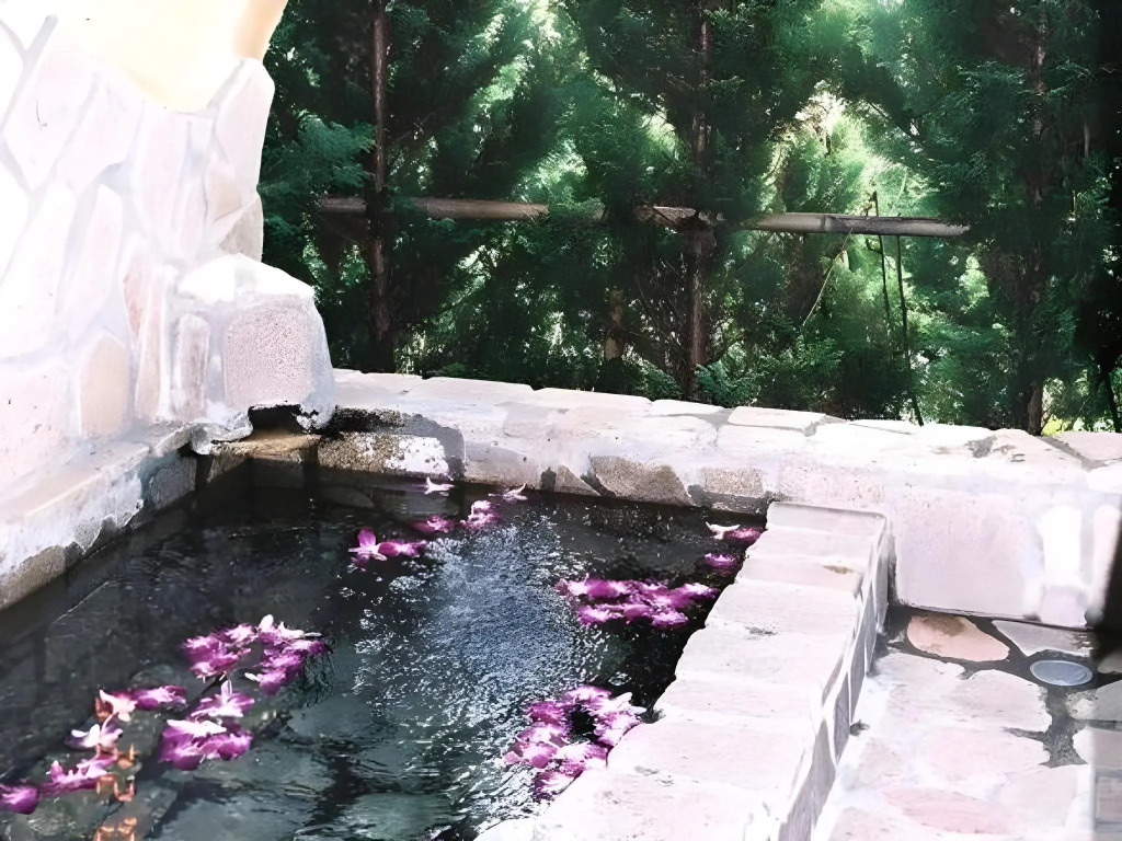 Image 8