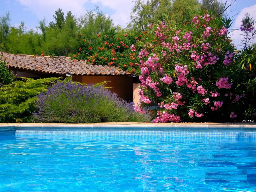 Moulin de la Roque - Général