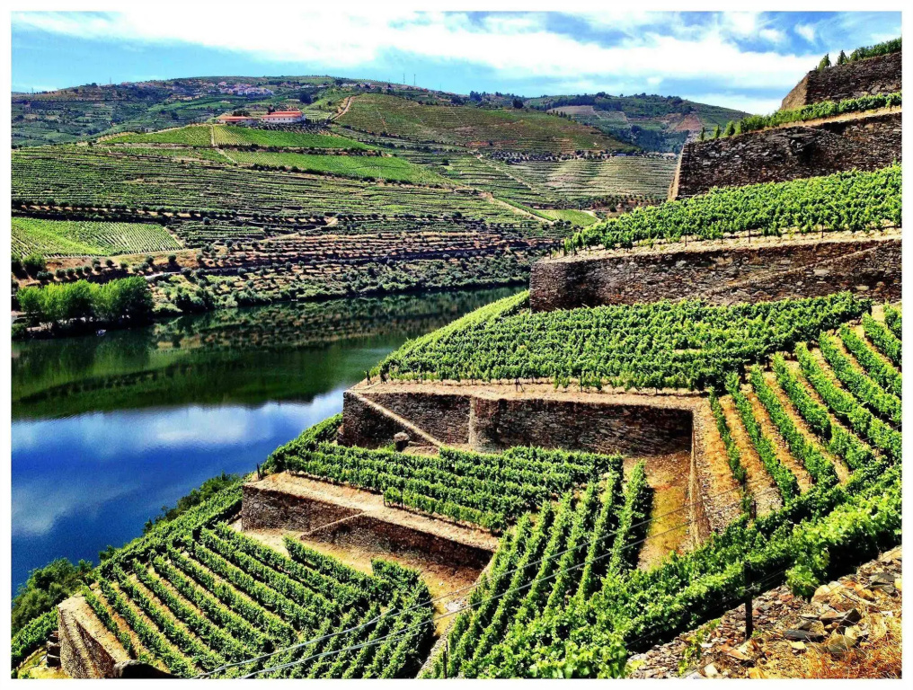 Quinta de la Rosa