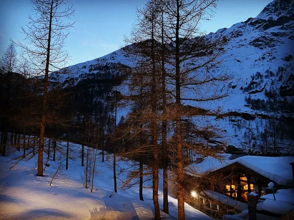 Les Neiges d'Antan - Général