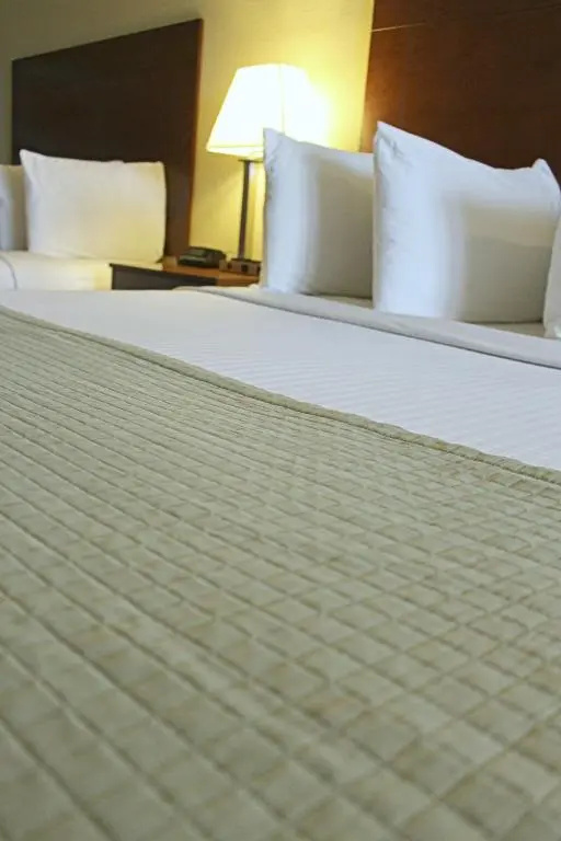 Southern Inn & Suites Lamesa - Chambres