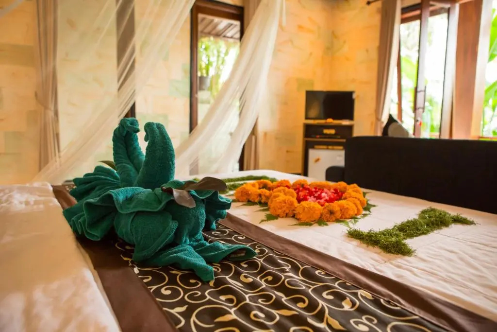 Deluxe Double room with view (full double bed)