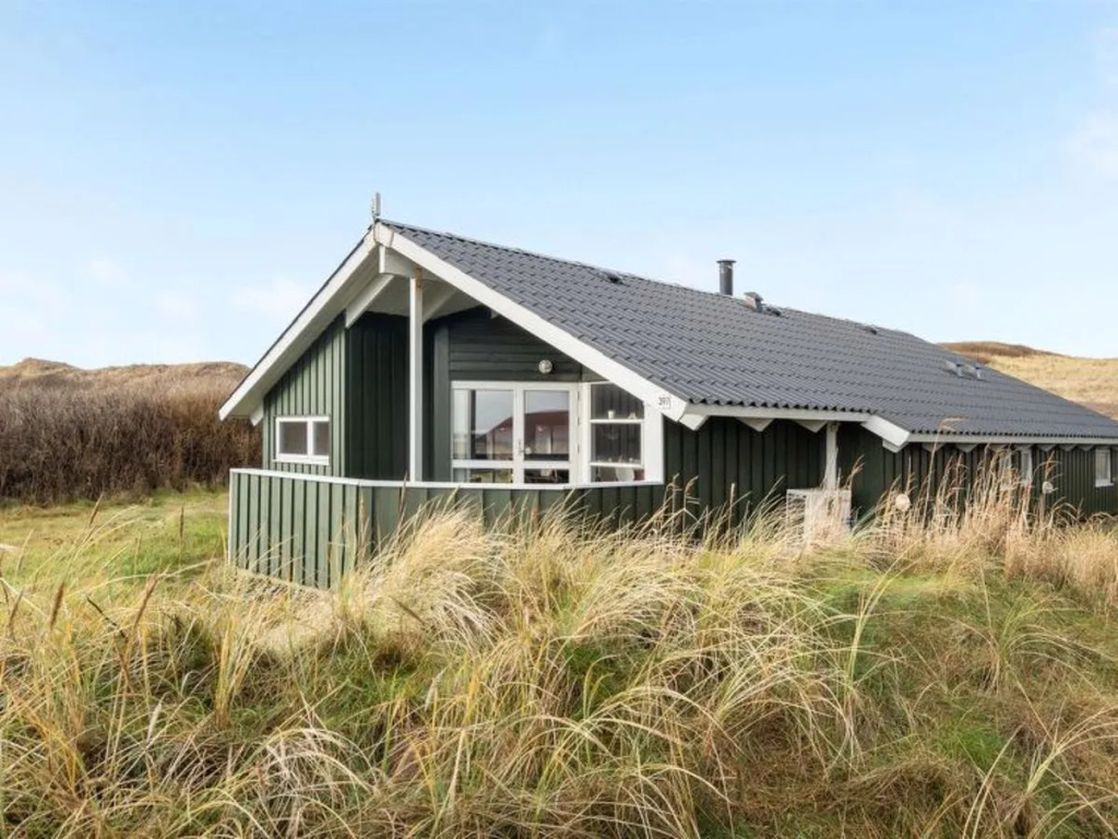 "Edin" - 150m from the sea in Western Jutland