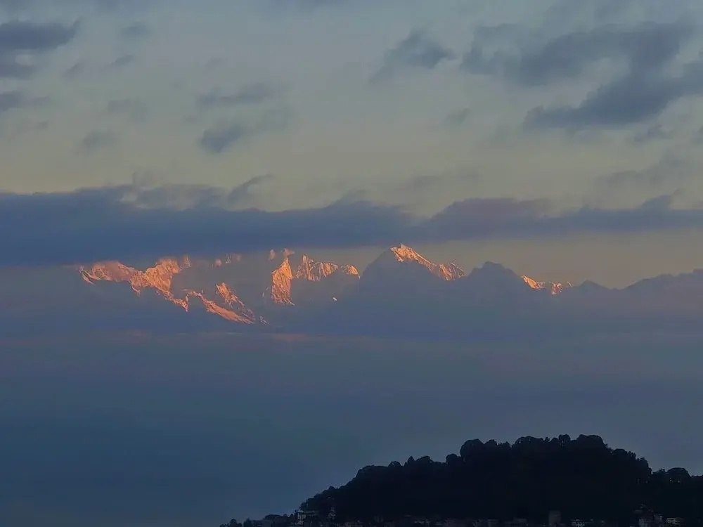 Aurora Darjeeling Grand
