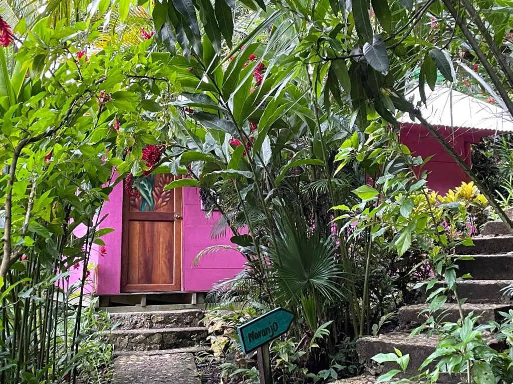 Palmeras del Río Hotel - Chambres