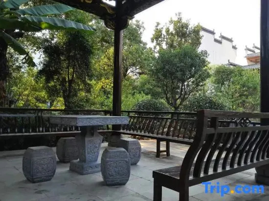 Balcony & Terrace
