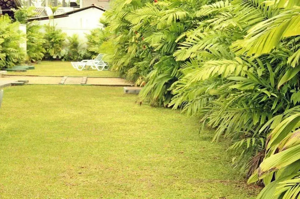 Villa Thotiya - фото 27