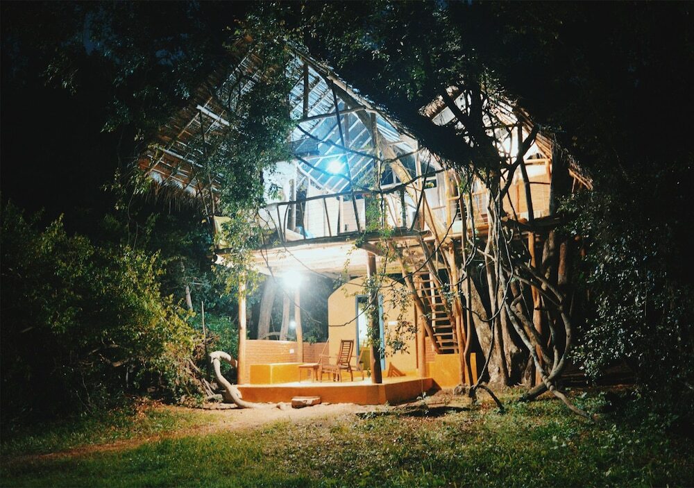 Back Of Beyond - Dehigaha Ela