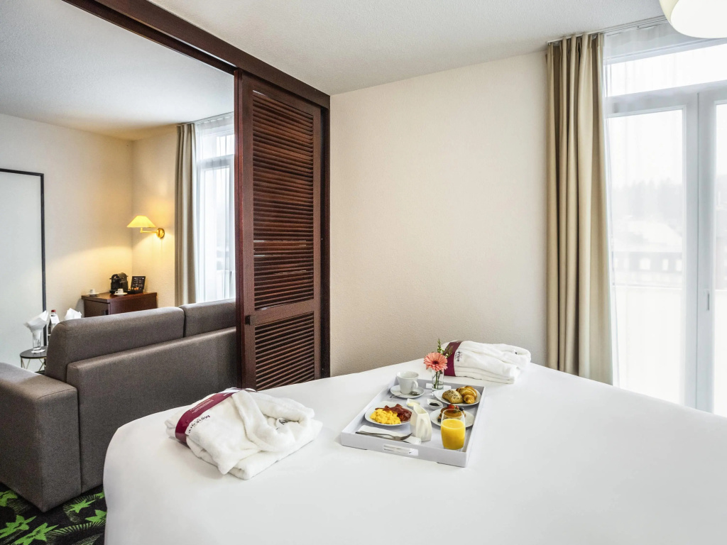 Mercure Lourdes Imperial - Général