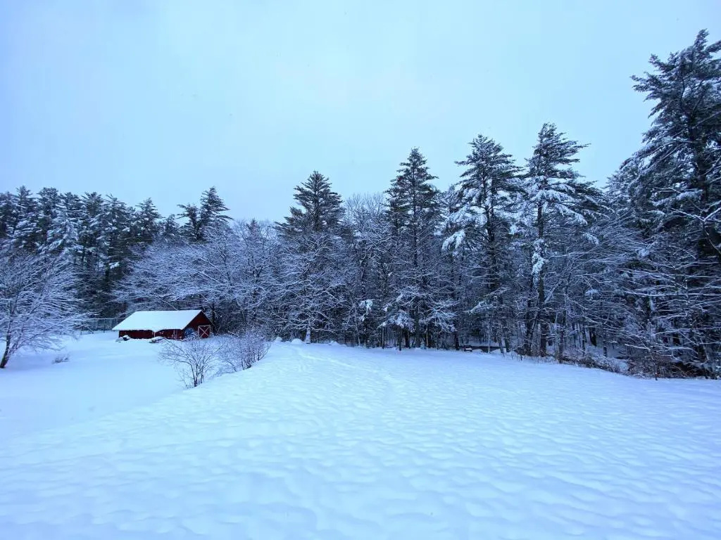 Cranmore Mountain Lodge Bed & Breakfast - фото 23